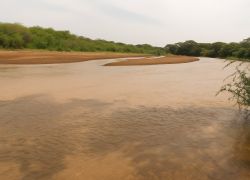 The Lorian Swamp in Garissa