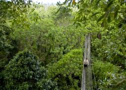 Le Pupu Pue National Park in Upolu