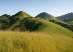 The Green Hills Of Africa in Nyeri