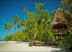 Saanapu and Sataoa Mangroves in Upolu