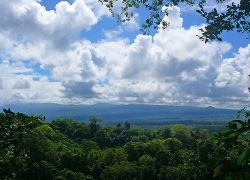 Tafua Peninsula Rainforest Preserve in Savaii Island