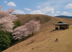 Mount Wakakusa