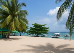 Cowrie Island in Puerto