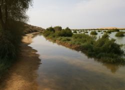 UAE Holiday Tour Package from India