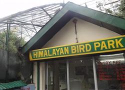 Himalayan Bird Park