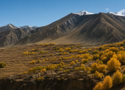 Upper Mustang in Jomsom
