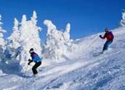 Kufri Tour,Kufri Shimla Tour,Skiing in Kufri