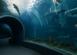 Acuario de Veracruz in Poza Rica
