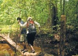 jungle_trekking_portblair