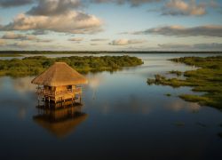 Puerto Almendra in Iquitos