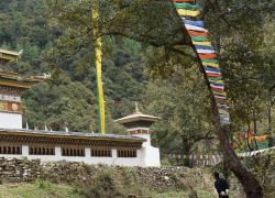 Jigme Dorji National Park in Gasa Dzongkhag