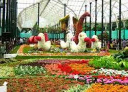 Lalbagh Botanical Garden