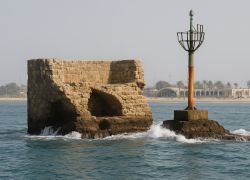 Tower of Flies in Acre