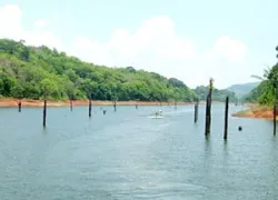 Periyar River