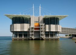 Oceanário de Lisboa in Lisboa