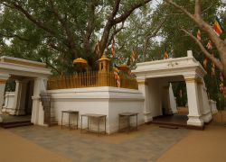 Anuradhapura, Sri Lanka, Sri Lanka