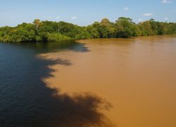 The Meeting of the Waters in Amazonas