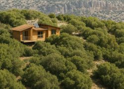 Ajloun Forest Reserve in Ajloun