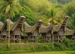 Tana Toraja in Sulawesi