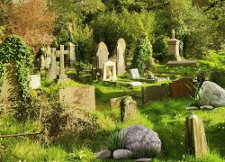 Arnos Vale Cemetery, Bristol, Avon - Places to visit in Avon, United Kingdom