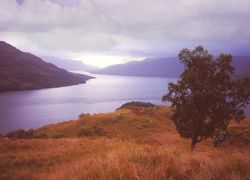 Loch Lomond & The Trossachs National Park, Scotland - Places to visit in Scotland, United Kingdom