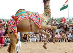 Pushkar (11 Kms from Ajmer)