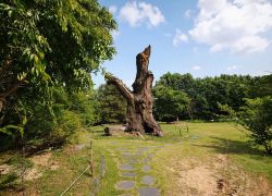 The Hwaseong Mulhyanggi Arboretum in Hwaseong