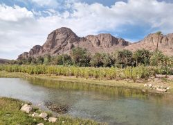 Fint Oasis in Ouarzazate