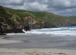 Otago Peninsula in Otago