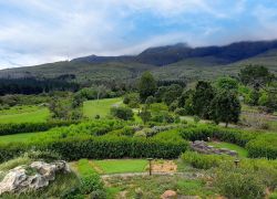 Garden Route Botanical Garden, George - Places to visit in George, South Africa