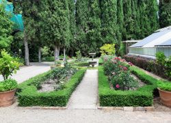 Stellenbosch University Botanical Garden - Places to visit in Stellenbosch, South Africa