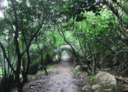 Vietnam Holiday Tour Package from India