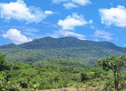 Similipal Tiger Reserve