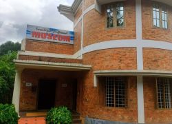 Bay Island Driftwood Museum in Kottayam