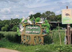 Uppalapadu Nature Conservation in Guntur