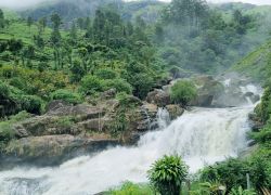 Attukad Waterfalls in Munnar
