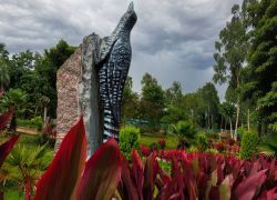 TTD Gardens in Tirupati