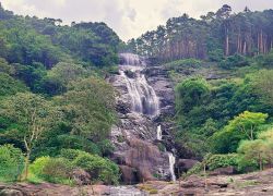 Kerala Tour Package