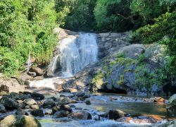 Lakkom Waterfalls in Munnar