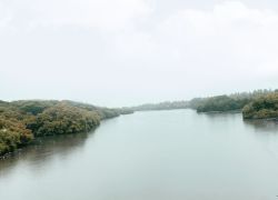 Kallai River in Kozhikode Calicut