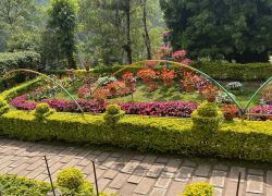 Munnar Tour Packages