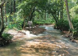 Aryankavu in Kollam