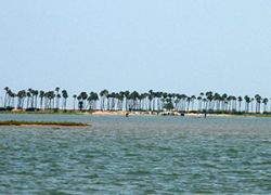 Pulicat Lake