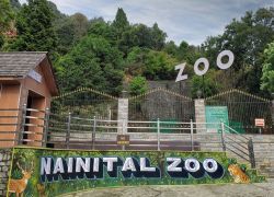 Uttarakhand Tour Package