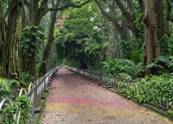 Jubilee Park in Jalpaiguri