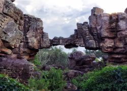 Rock Garden