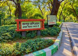 Allen Forest Zoo in Kanpur