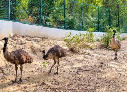 Uttar Pradesh Tour Package