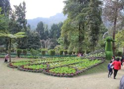 Saramsa Garden