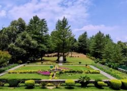 Viceregal Lodge & Botanical Garden in Shimla